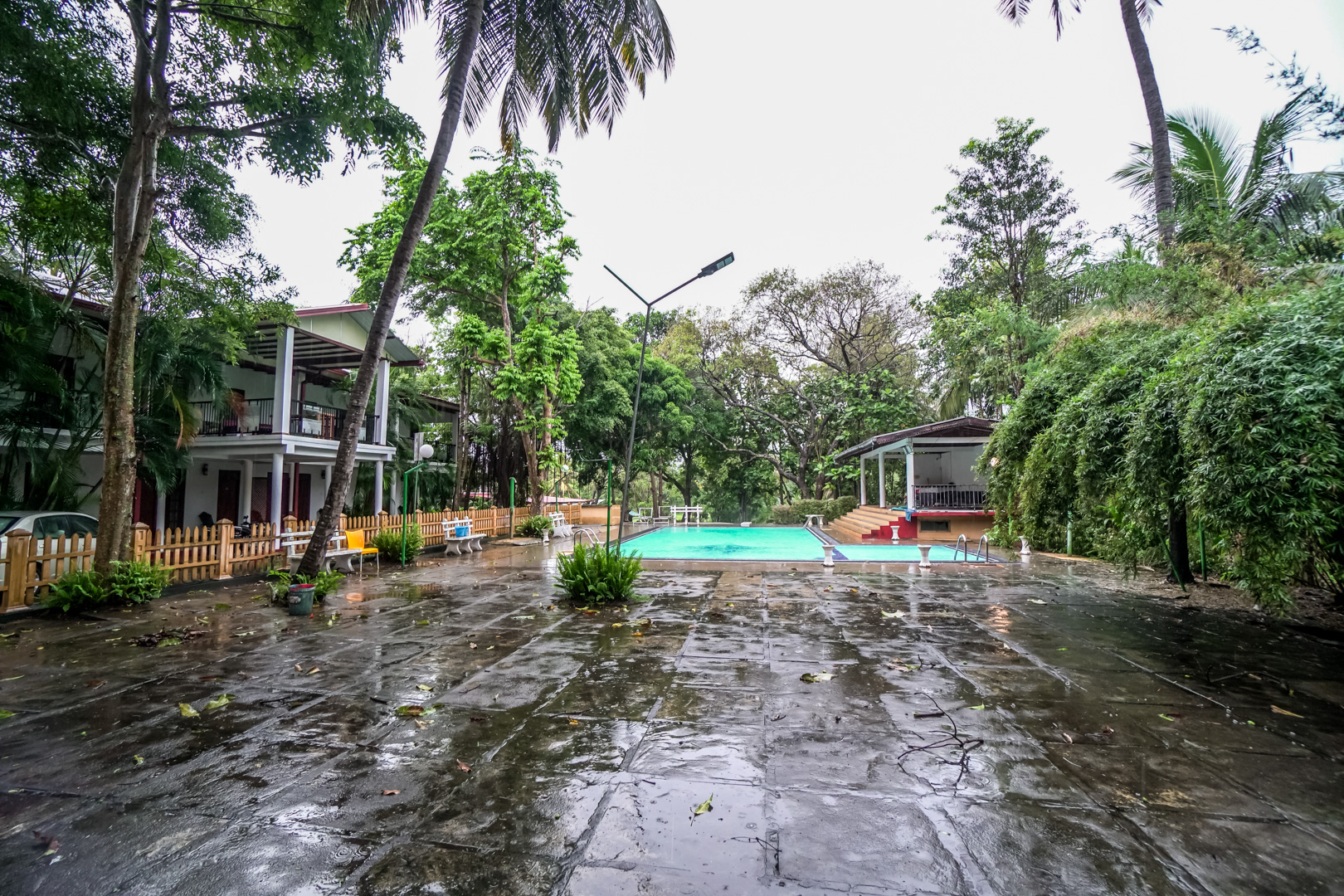 Opening Ceremony - Traditional Dancers