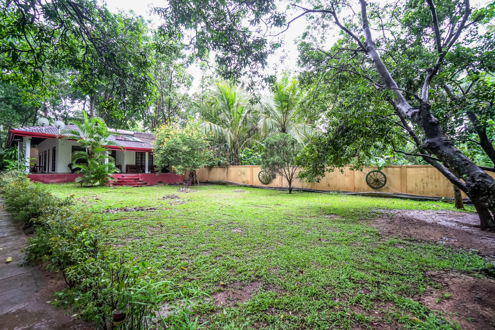 Opening Ceremony - Performance