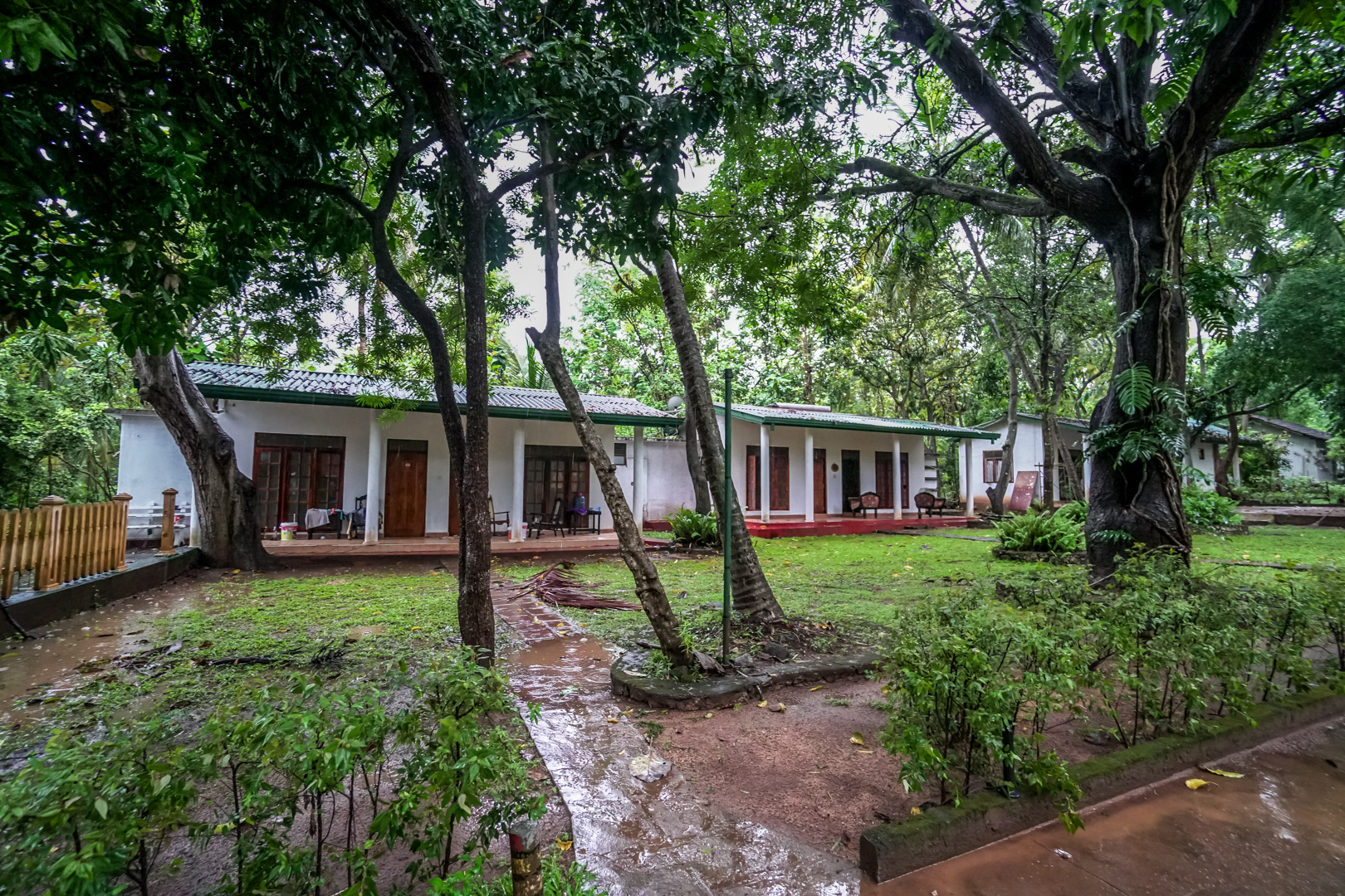 Opening Ceremony - Traditional Dance